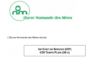 onm recrute directeur de service